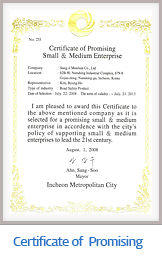 Certificate of  Promising